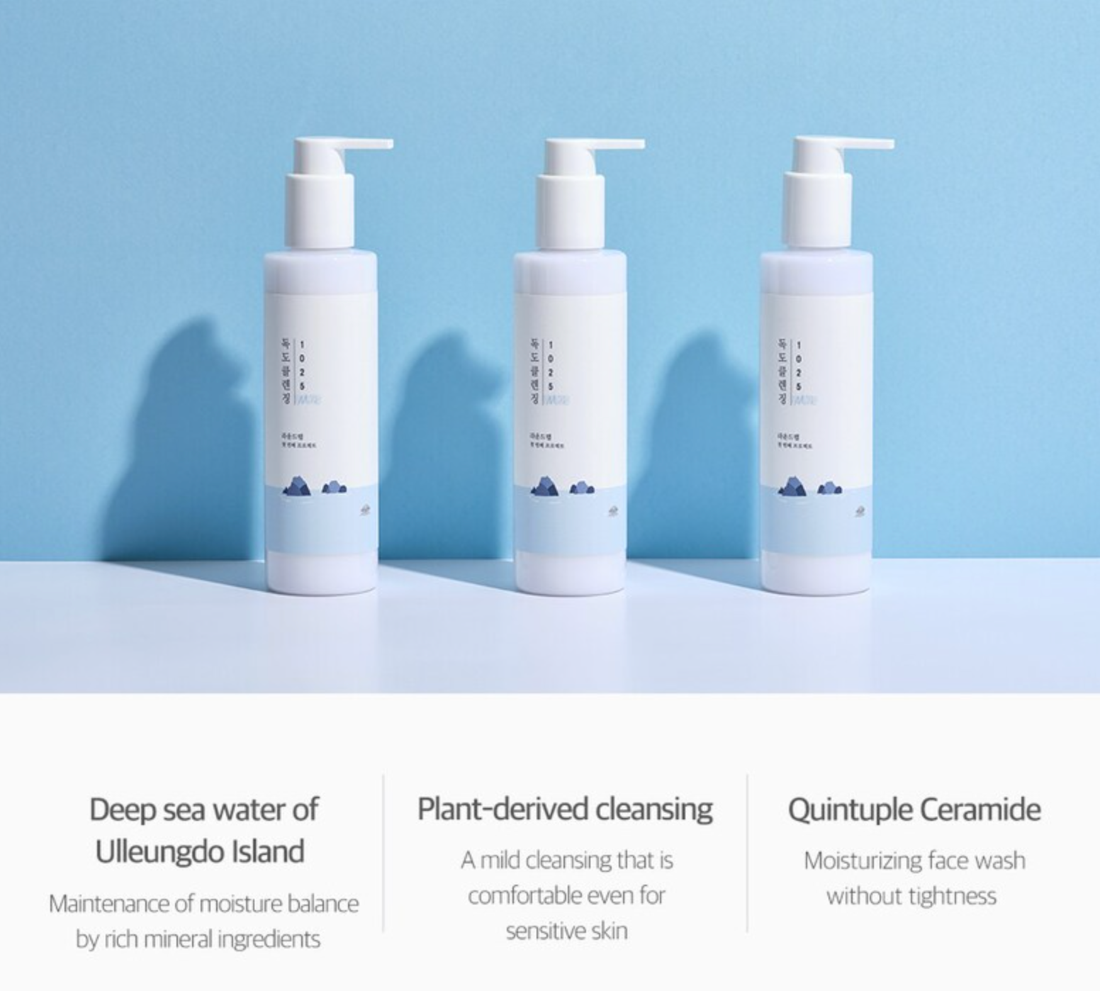 Round Lab 1025 Dokdo Cleansing Milk