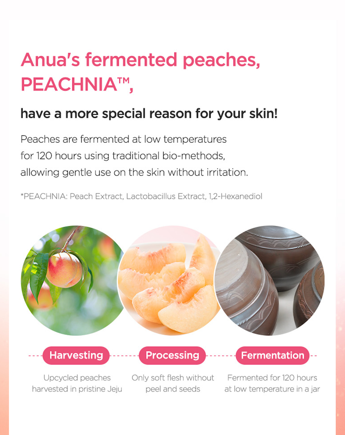 Anua Peach 77 Niacin Conditioning Milk