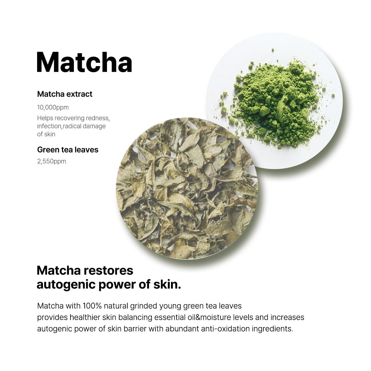 B LAB Matcha Hydrating Foam Cleanser