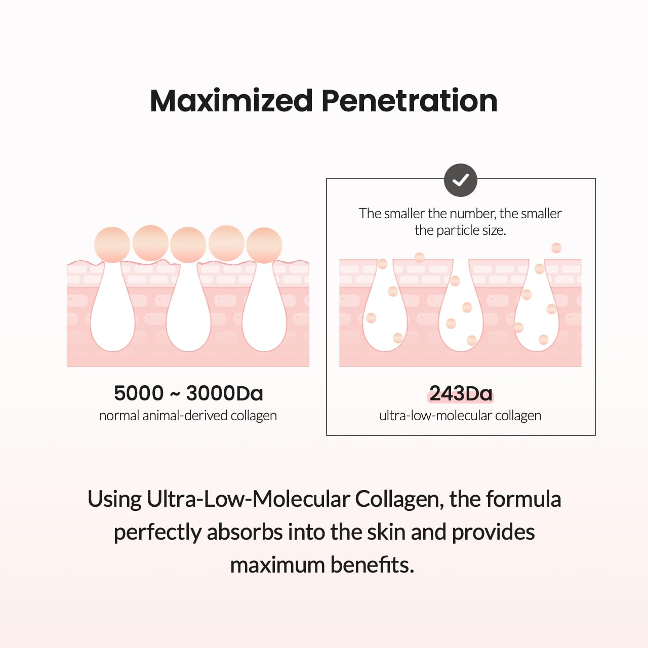 Biodance Collagen Ampoule