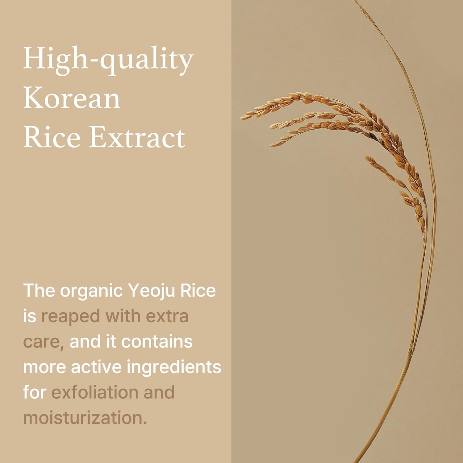 I'm From Rice Sheet Mask