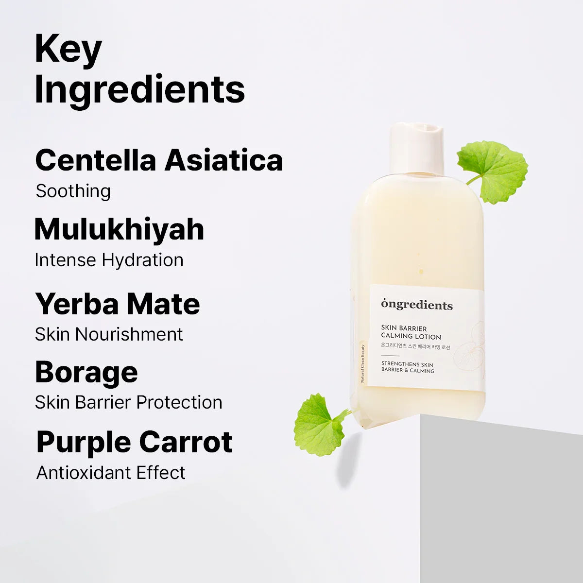Ongredients Centella Asiatica Skin Barrier Calming Lotion