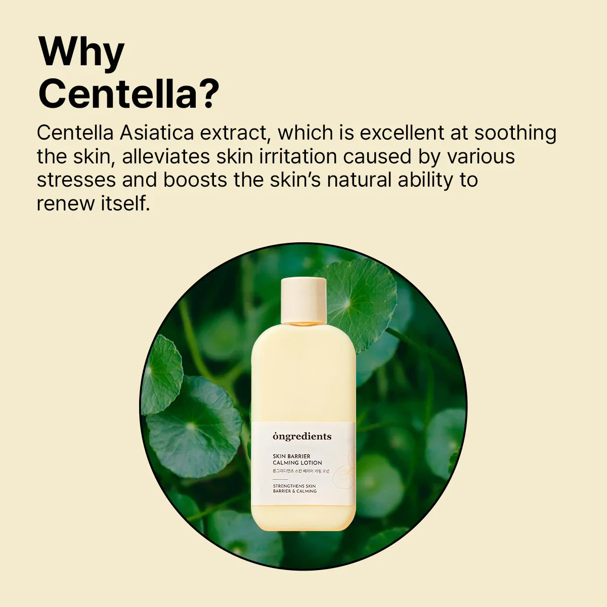 Ongredients Centella Asiatica Skin Barrier Calming Lotion
