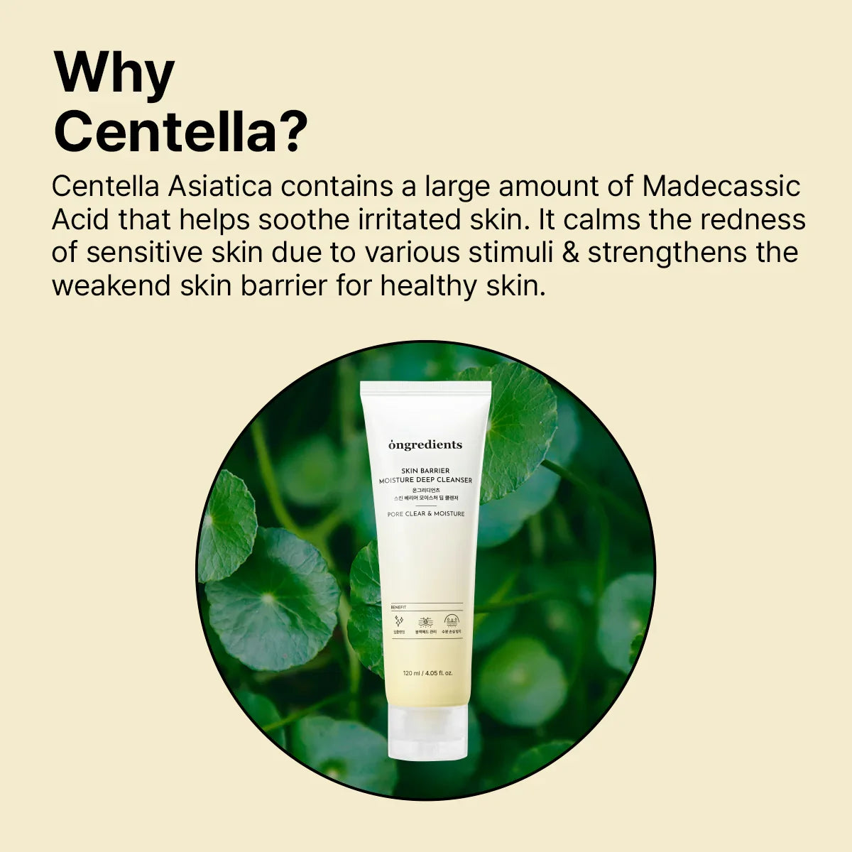 Ongredients Moisture Deep Cleanser