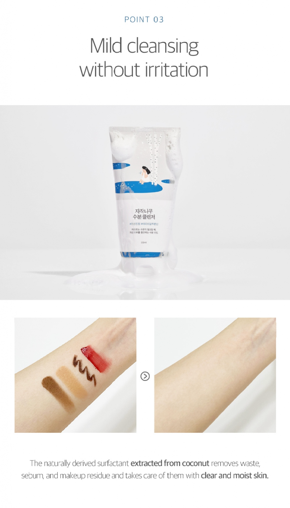 Round Lab Birch Juice Moisturizing Cleanser