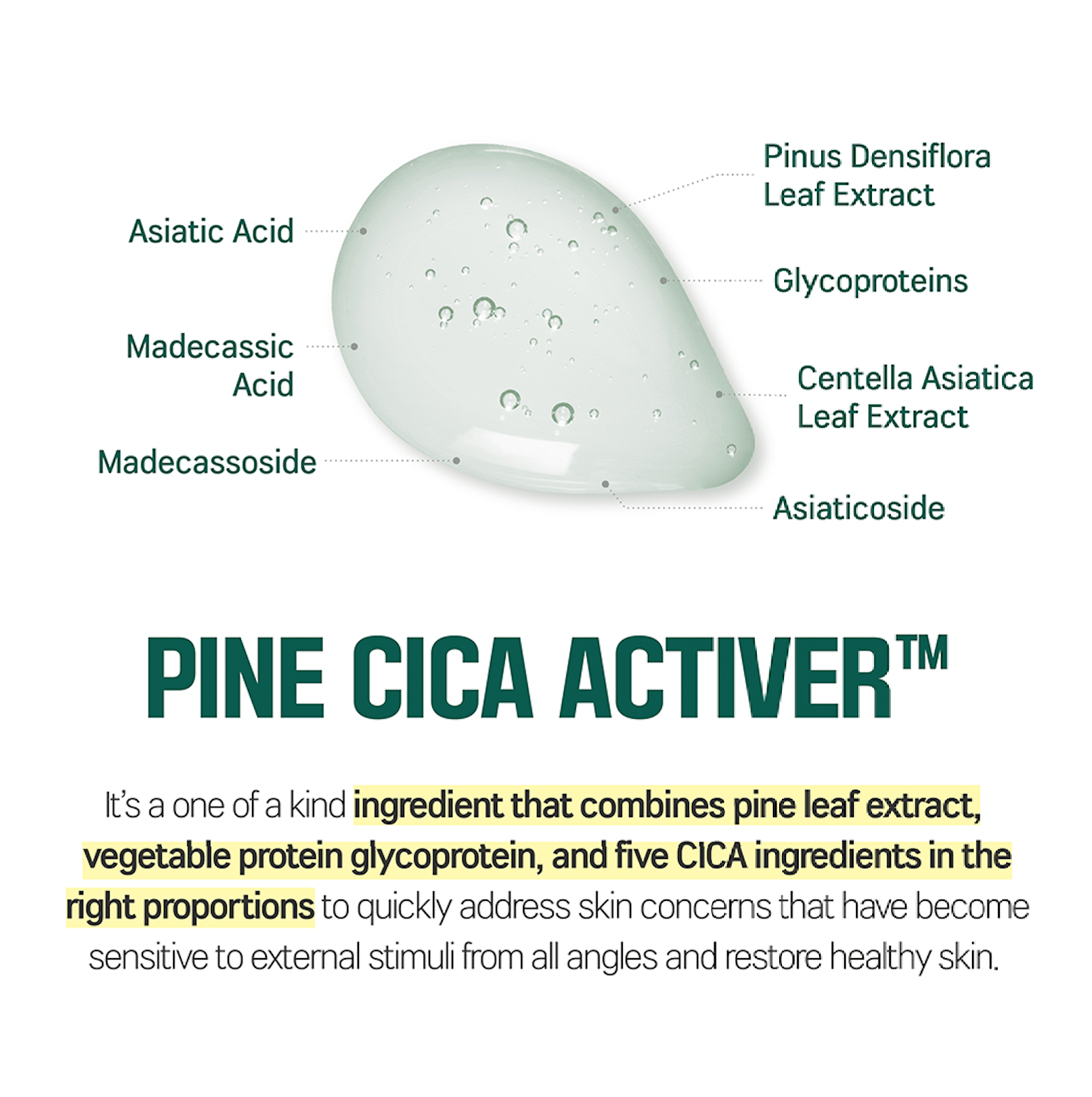 Round Lab Pine Calming Cica Cream