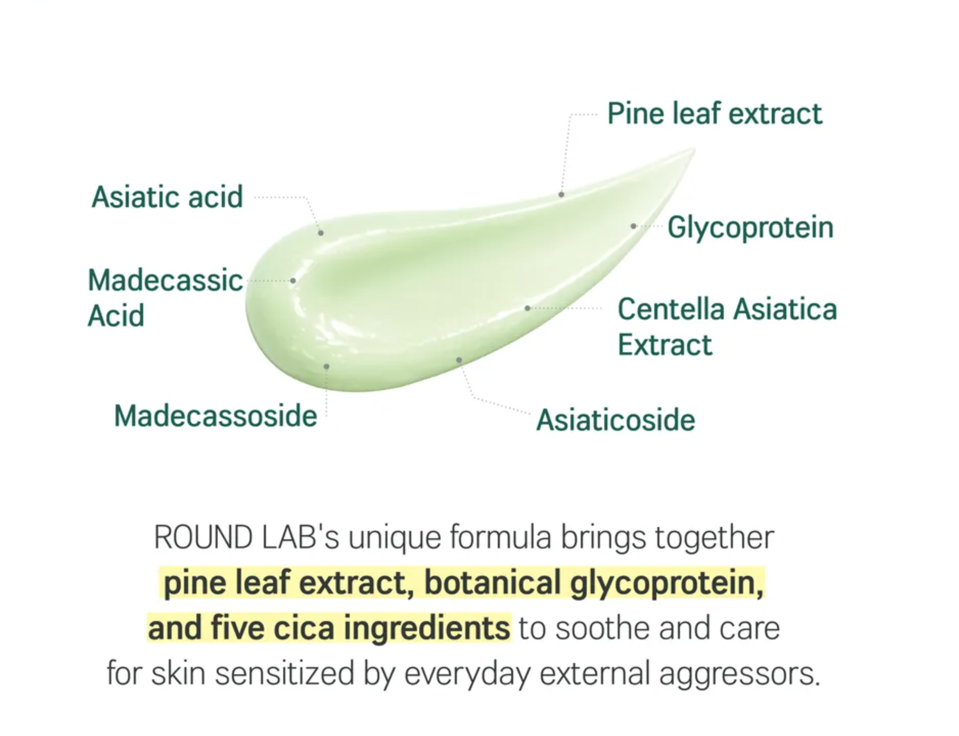 Round Lab Pine Calming Cica Primer Sunscreen