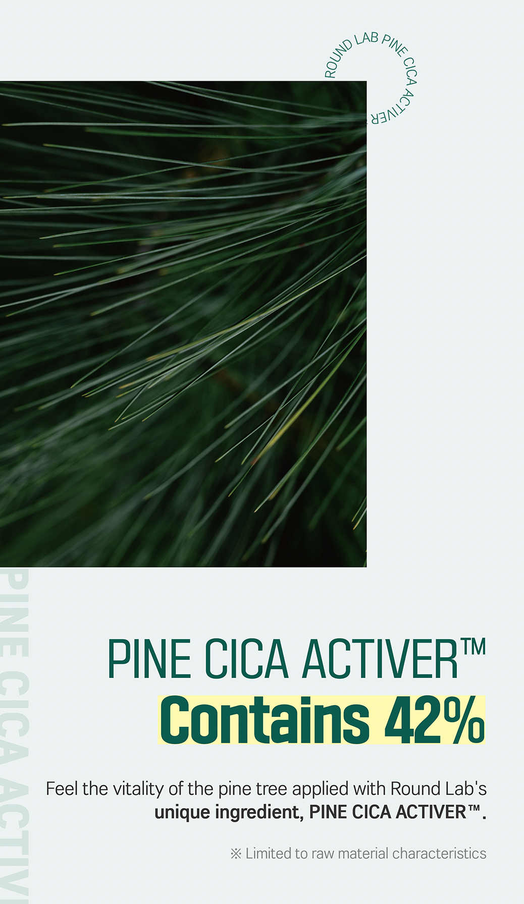 Round Lab Pine Calming Cica Cream