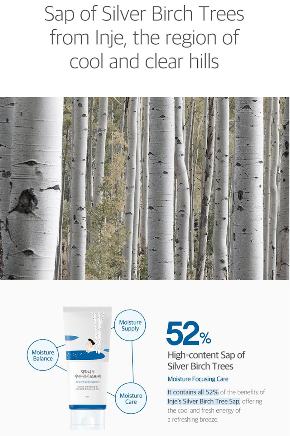Round Lab Birch Moisturizing Wash Off Pack