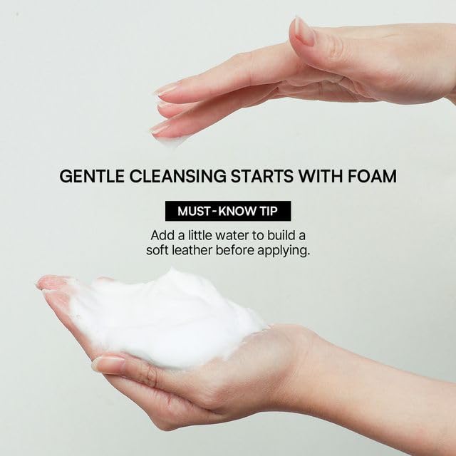 Round Lab 1025 Dokdo Cleanser