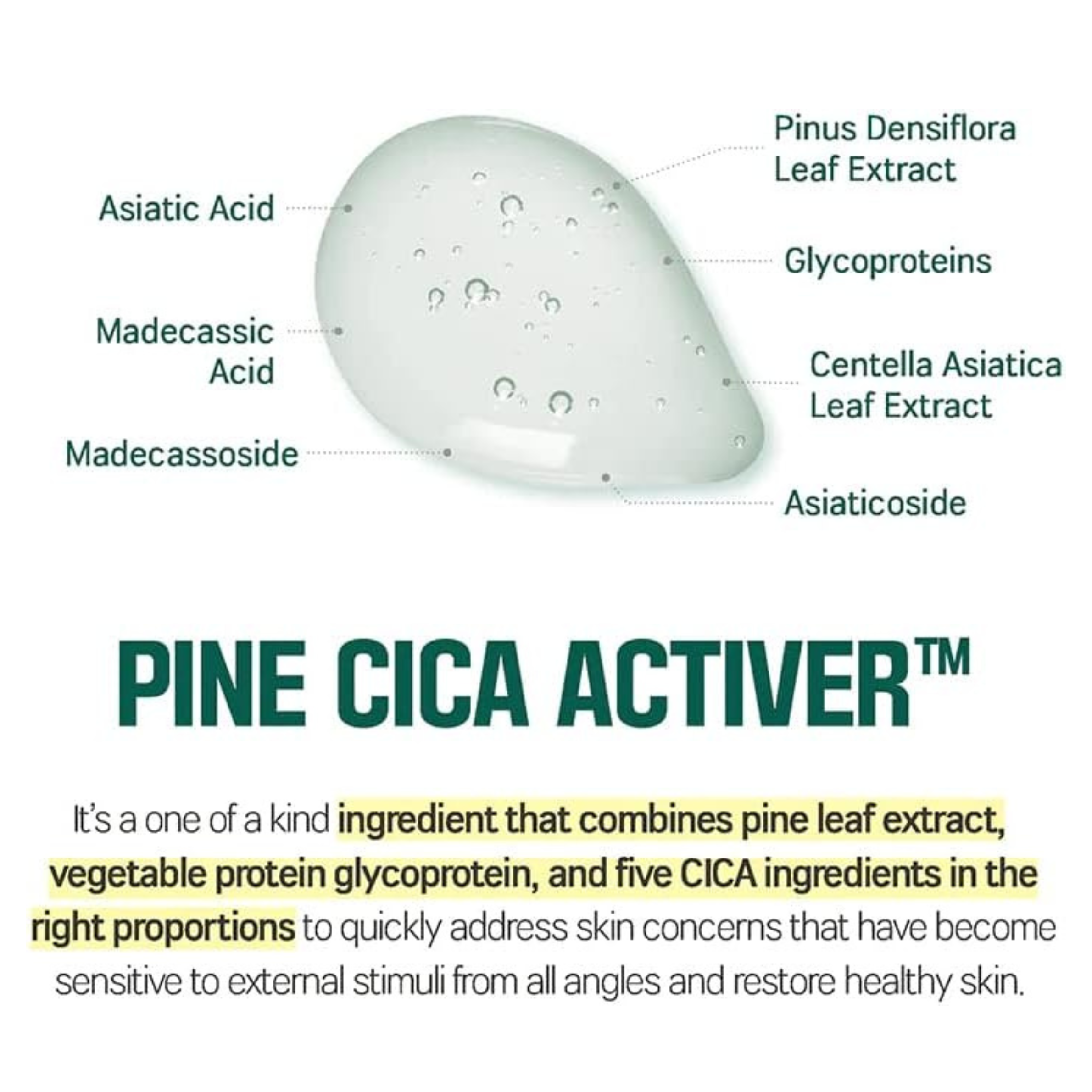 Round Lab Pine Calming Cica Body Wash
