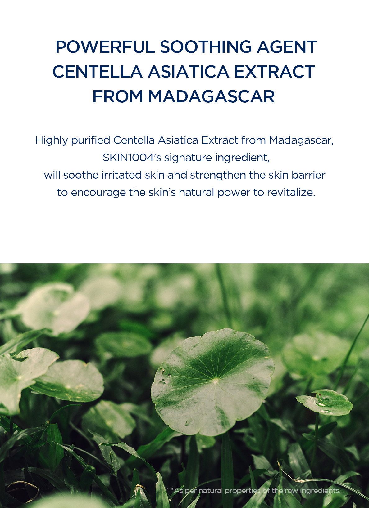 Skin 1004 Madagascar Centella Hyalu-Cica Gentle Cleansing Milk