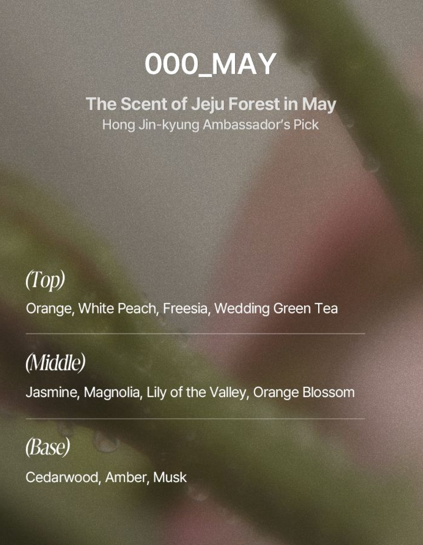 TAMZ Signature Treatment MAY 500ml