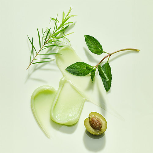 Tocobo Mint Cooling Lip Mask