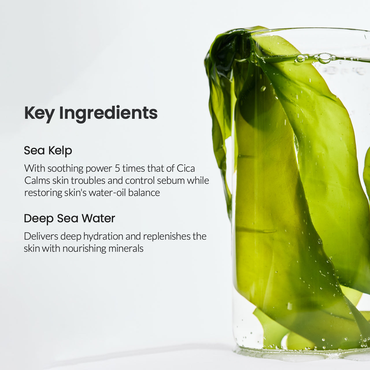 Biodance Refreshing Sea Kelp Real Deep Mask Sheet